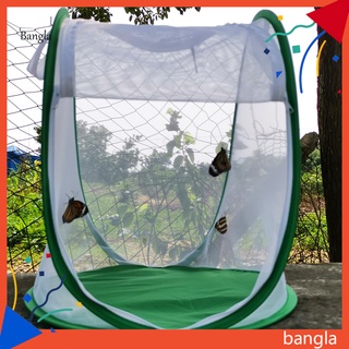 Bangla * Jaula De Malla Para Insectos , Terrario , Reutilizable Para Jardín