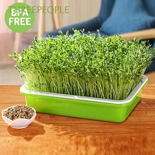 THREEPEOPLE Homemade Seedling Tray Harmless Soilless cultivation Gardening Tools Wheatgrass Plastic Encryption Natural Soilless Planting Double-layer Hydroponic Vegetable/Multicolor