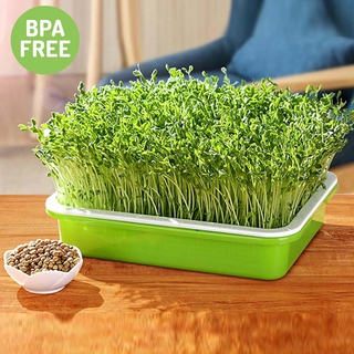 FLYINGSUIT Homemade Seedling Tray Natural Soilless cultivation Gardening Tools Harmless Wheatgrass Durable Green Double-layer Soilless Planting Hydroponic Vegetable/Multicolor (9)