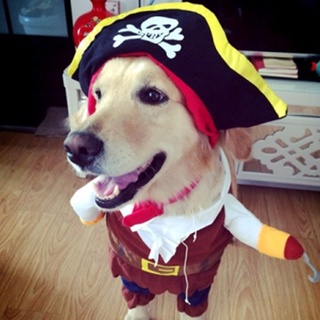 *XJG Suit Pirate Turned Into Teddy Dog Clothes Halloween Christmas Costumes