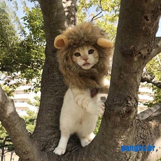 [pang] Gorro/disfraz De perro De león Para Gatos y Halloween (Br) (1)
