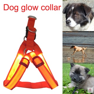 Collar resplandor de perro recargable LED seguro Collar correa de pecho suministros para mascotas chaleco