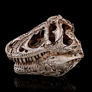 Fossil 1pc Nueva Tyrannosaurus T-Rex Resina Dinosaurio Cráneo Réplica De Esqueleto Fósil Modelo shuixudeniseAli (4)