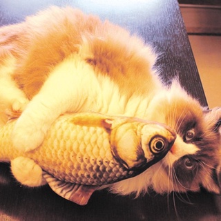 Cz mascota gato juego de pescado forma de masticar mordida juguete regalos interactivos rasguños juguete 0825