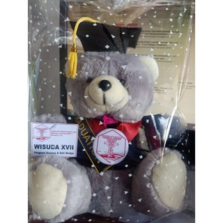 Oso medio de peluche muñeca regalo de graduación oso muñeca oso regalo oso novio