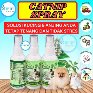 Cat Kitten - aliviador de estrés (60 ml, 60 ml, Catnip Spray, Catnip Spray, FEFARM)