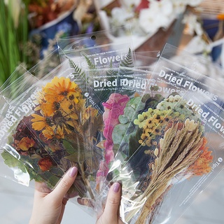 unengdin - adhesivo para álbum de 6 hojas, flores secas, diseño de plantas, manualidades, accesorios para mascotas, arte de pared, álbum de recortes