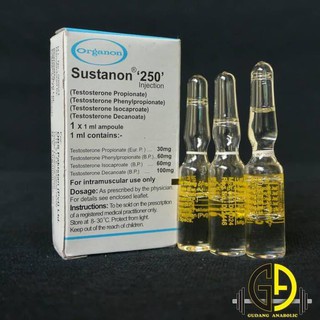 Sustanon-250 ORGANON (1)