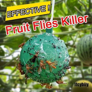 Trampa Ifcybiiy trampa De insectos voladores De Moscas/Frutas