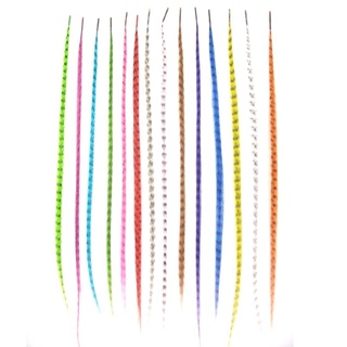71 unids/lote color pluma extensiones de pelo con punta de cuentas gancho extensión bucle pelo r1g7 (9)