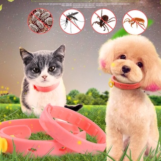 Collar de gato para mascotas, Anti pulgas, ácaros, tamaño de gatito, ajustable