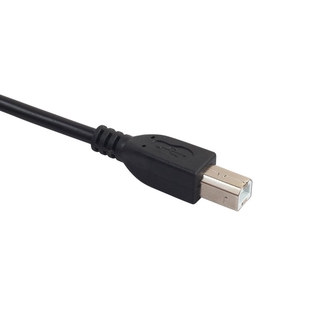 USB 2.0 AM-A-BM Cable de alta velocidad plomo A A B para escáneres de impresora disco duro (6)