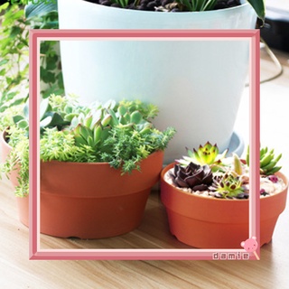 DM|Ready Succulent Flower Pot Mini Potted Plants Planters Office Decoration Garden Home Accessories (4)
