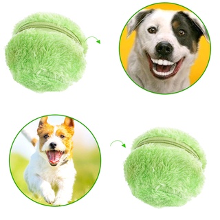 croom_mascota perros bolas de rodillo eléctrico de felpa masticar dientes molar limpio juguete interactivo