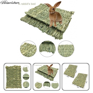 Nueva alfombra De peluche De conejo/conejo De indias resistentes a la Mordida Para mascotas