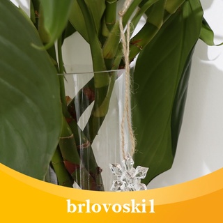 [brlovoski1] 10 x copo de nieve acrílico transparente decoración de árbol de navidad (4)