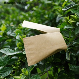 roadgoldstar 100 bolsas protectoras de semillas de papel kraft para almacenamiento de sobres mini paquetes wdst (5)