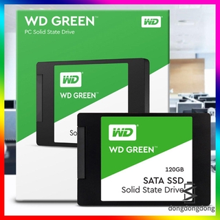 Western Digital WD Green 1TB 480GB 240GB 120GB "SATA III SATA 3 o M.2 2280 SSD 6Gb/s unidad de estado sólido