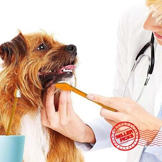 suministros para mascotas gato perro cepillo de dientes set de pasta de dientes cuidado de la boca limpieza e4c9