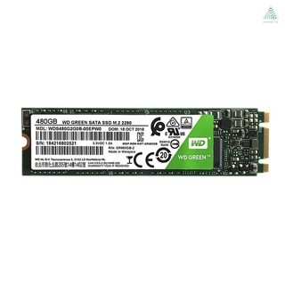 SE WD Verde 480GB PC SSD SATA 6 Gb/s M . 2 2280 Unidad De Estado Sólido (WDS480G2G0B)
