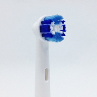 cepillo de dientes eléctrico para adultos d12013