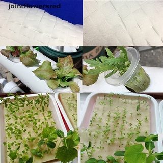 jo7mx 100p cultivo plántulas vegetales plantas vivero esponjas sin tierra hidropónica martijn