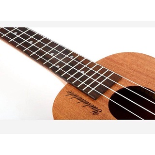 YAEL-Instrumento De Música Para Ukelele (21 Pulgadas , Diseño De Palisandro De Alta Calidad , Guitarra Pequeña , 7220) (6)