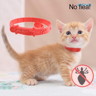 au pet collar ajustable anti pulgas silicona práctico gatito collar para tienda de mascotas