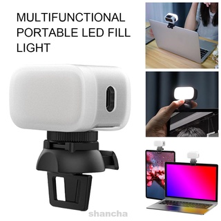 Profesional USB recargable brillo ajustable 30 LEDs Mini portátil Video conferencia 5600K luz de relleno