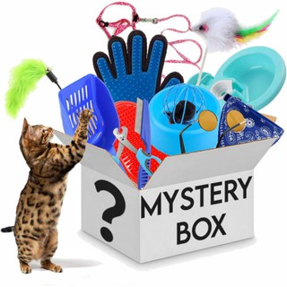 Caja misteriosa caja misteriosa sorpresa gato espectáculo necesidades