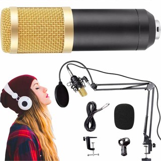 Kit Microfono Condensador Profesional para Streaming Con Brazo