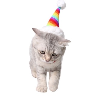 andfor arco iris mascota sombrero de navidad gatito gato sombrero santa claus gorra decoraciones de navidad pequeños animales ratas gatito precioso hámster decoración/multicolor (5)