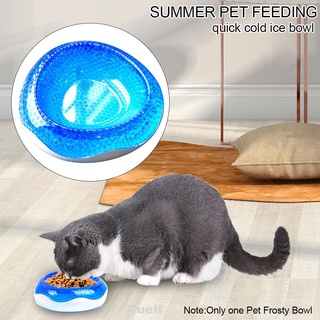 Prácticos accesorios de verano portátil alimentación fácil de limpiar antideslizante mascota Frosty tazón