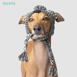 Kc gorro De invierno 2021 Para mascota/perro/bufanda francesa a prueba De viento (2)