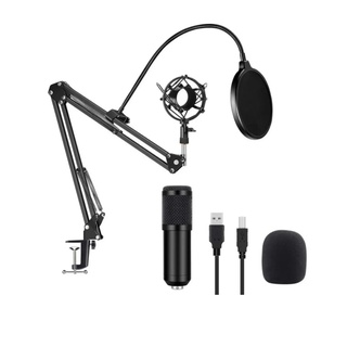 Kit Microfono Profesional Bm 800 Condensador Gold/Black