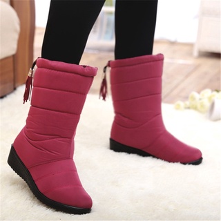 botas de nieve de lluvia para mujer/zapatos de invierno cálidos impermeables/piel sintética forrada de borla nueva (2)