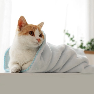 [astart] manta de colchón lavable para gatos, para gatos, mantener el calor para todas las estaciones