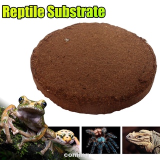 Natural fibra de coco tortuga lagarto serpiente Gecko fondo suministros reptil sustrato (3)