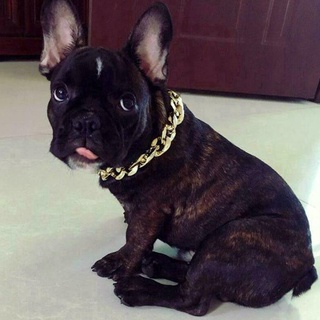 Collar de cadena de oro para mascotas, diseño de plata, pequeño Collar, perro, gato, Bulldog W9d5 francés E6Z1 (8)