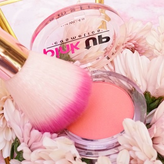 Rubor Blush Pink Up