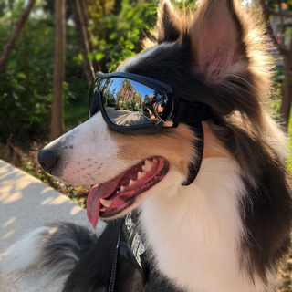 gafas impermeables para perros gafas de sol anti-uv protección ojos gafas de sol suministros para mascotas
