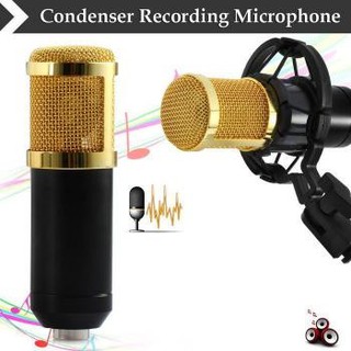 Rubyz TaffSTUDIO Studio - micrófono de condensador (BM-800)