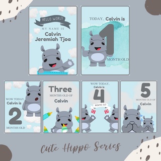 Cute Hippo Series - TICOANDCO PREMIUM Baby Misterone tarjetas/bebé tarjetas mensuales/tarjetas de bebé