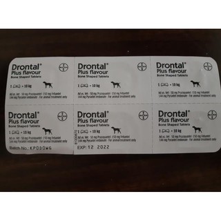 Drontal Plus perro gusano medicina