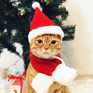 Perro gato mascota Santa sombrero con bufanda conjunto de disfraces de navidad ropa para mascotas con sombrero de Santa y bufanda