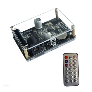 Bonjour XY-P40W - placa amplificadora Digital Bluetooth estéreo inalámbrico con mando a distancia 30/40W 12/24V (1)