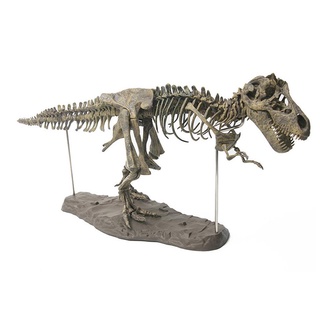 FOSSIL gran dinosaurio 4d ensamblado esqueleto niños juguete modelo de esqueleto fósil simulación u3l3 (4)