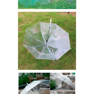 Práctica sombrilla transparente (5)