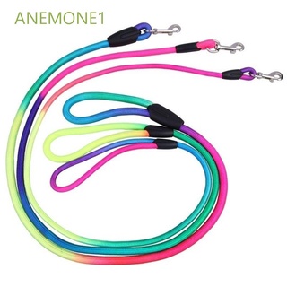 Anemone1 1 pza cinturón De nailon Popular Para mascota/Multicolorido
