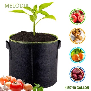 melodia seed farm plant grow bag jardín plantación fieltro maceta de papas contenedor cesta para el hogar vegetal 5/7/10 galones